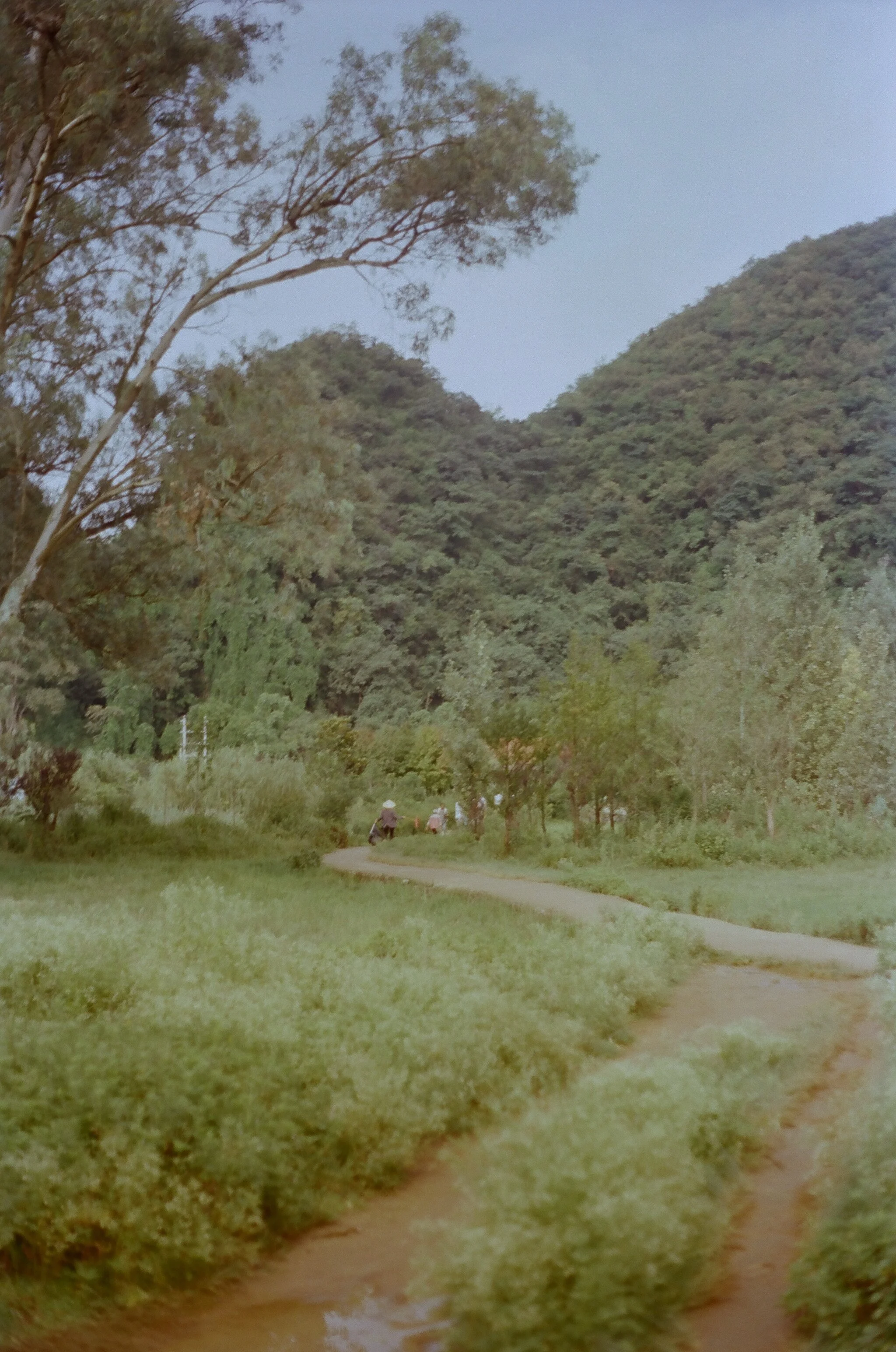 255778_0009.jpg