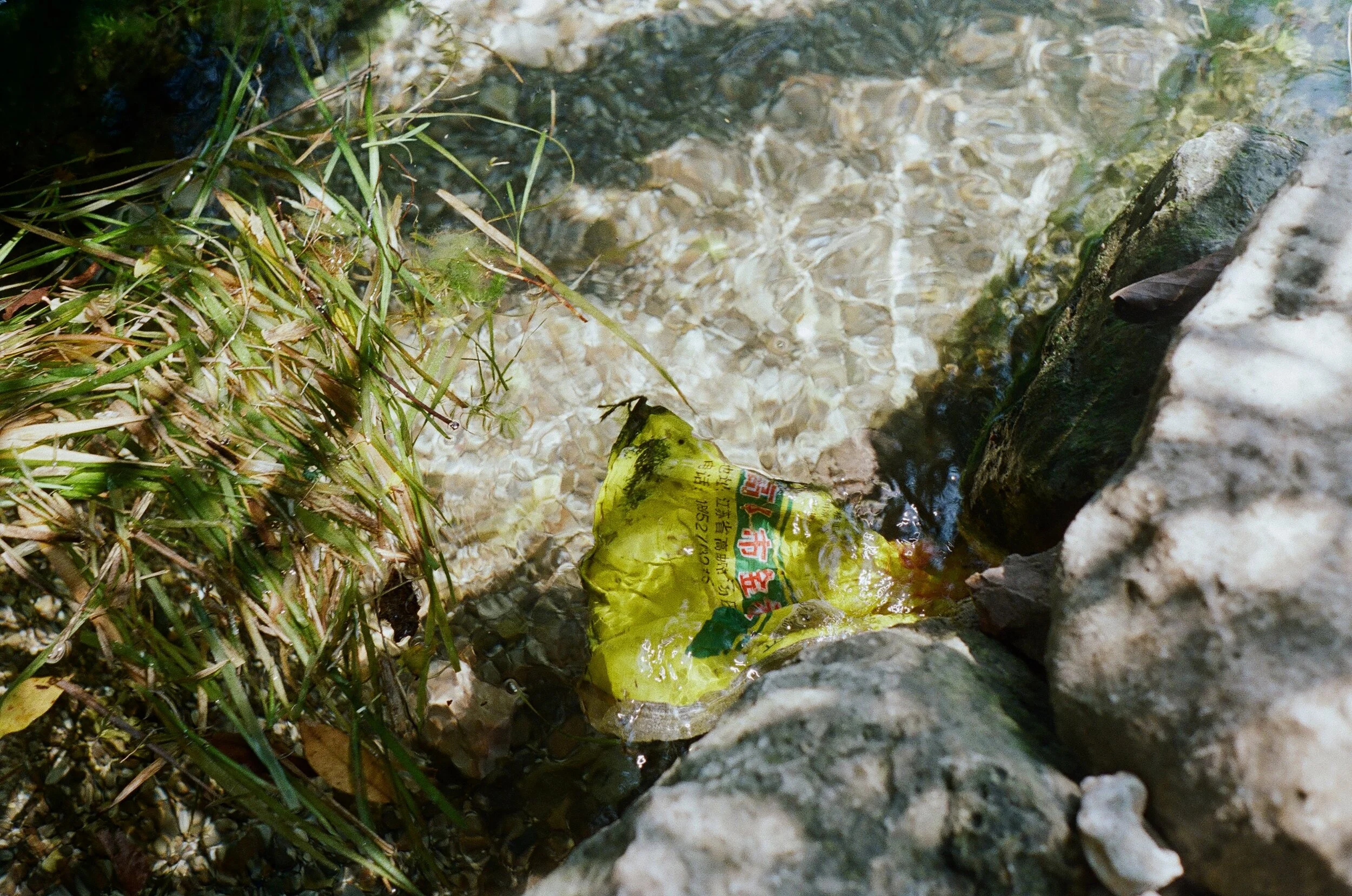 255785_0002.jpg