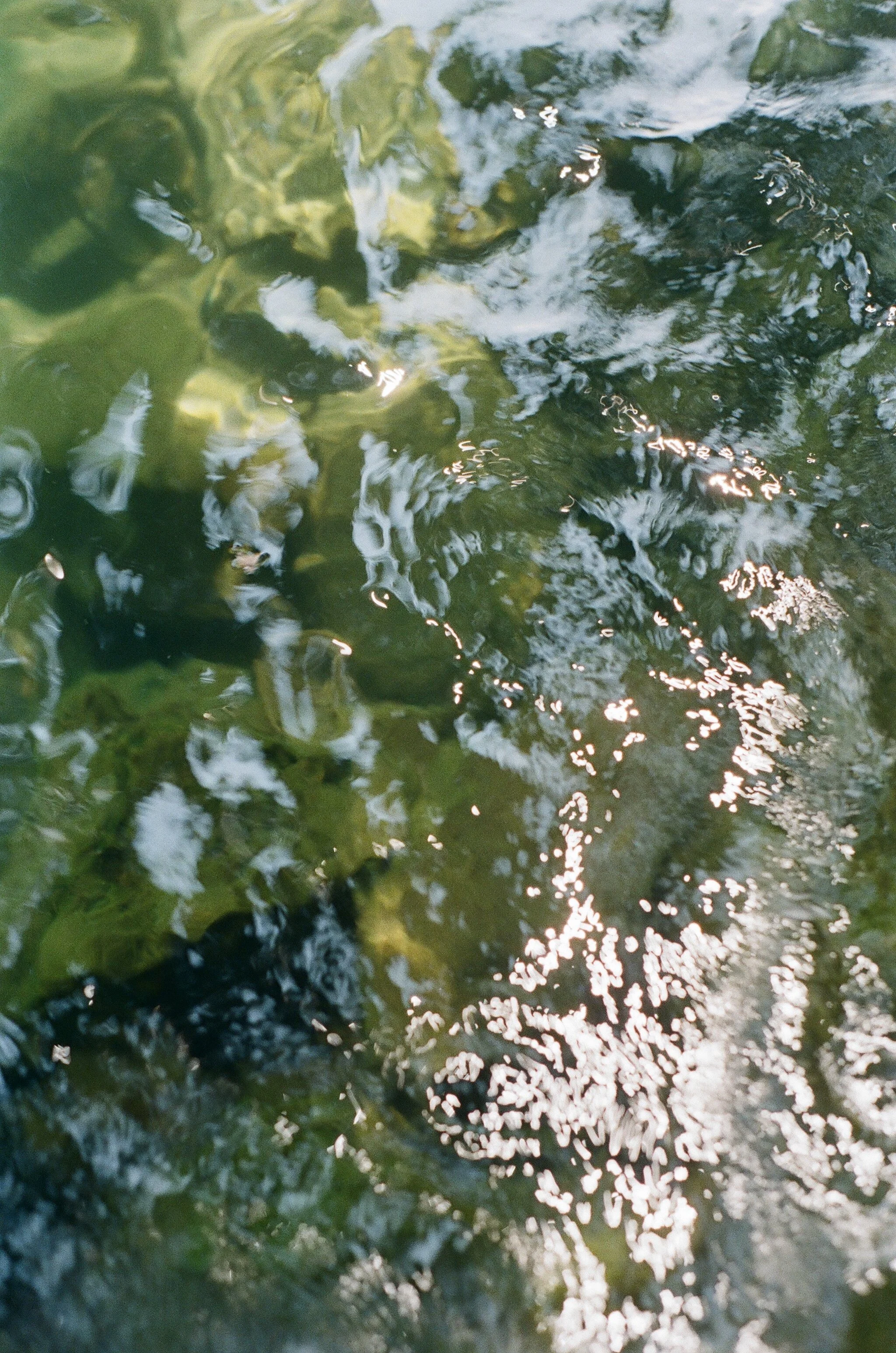255785_0003.jpg