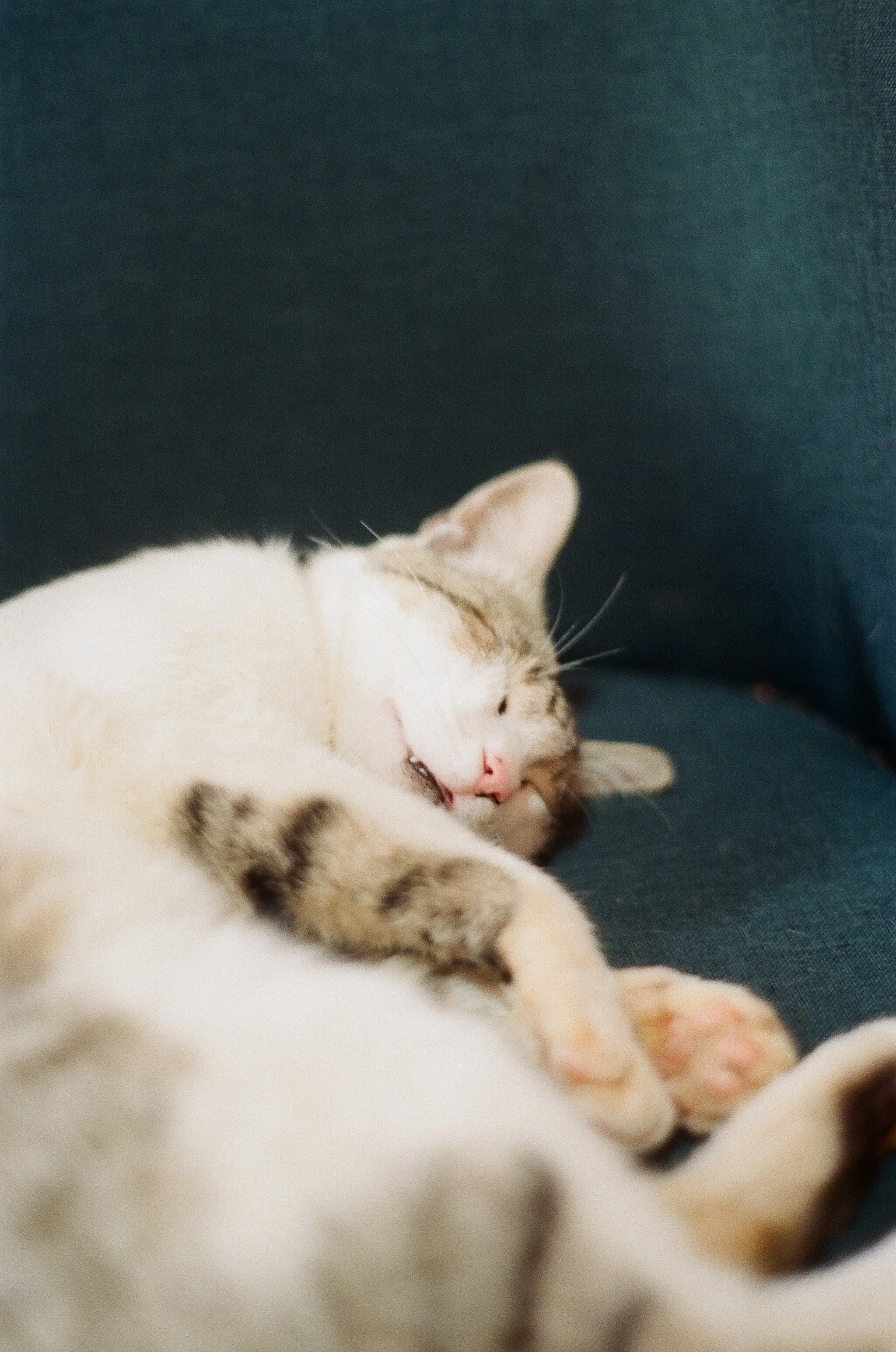 255785_0023.jpg