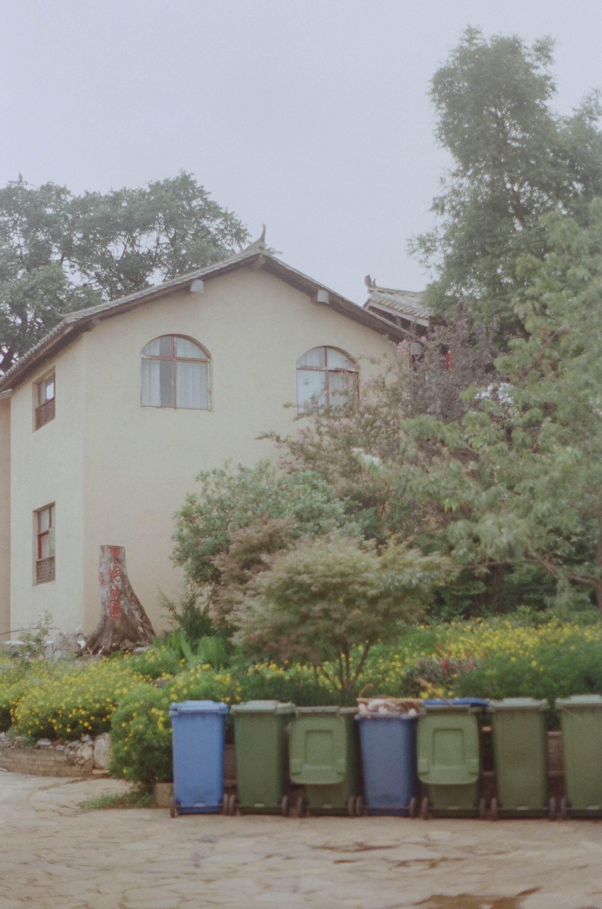 255788_0010.jpg
