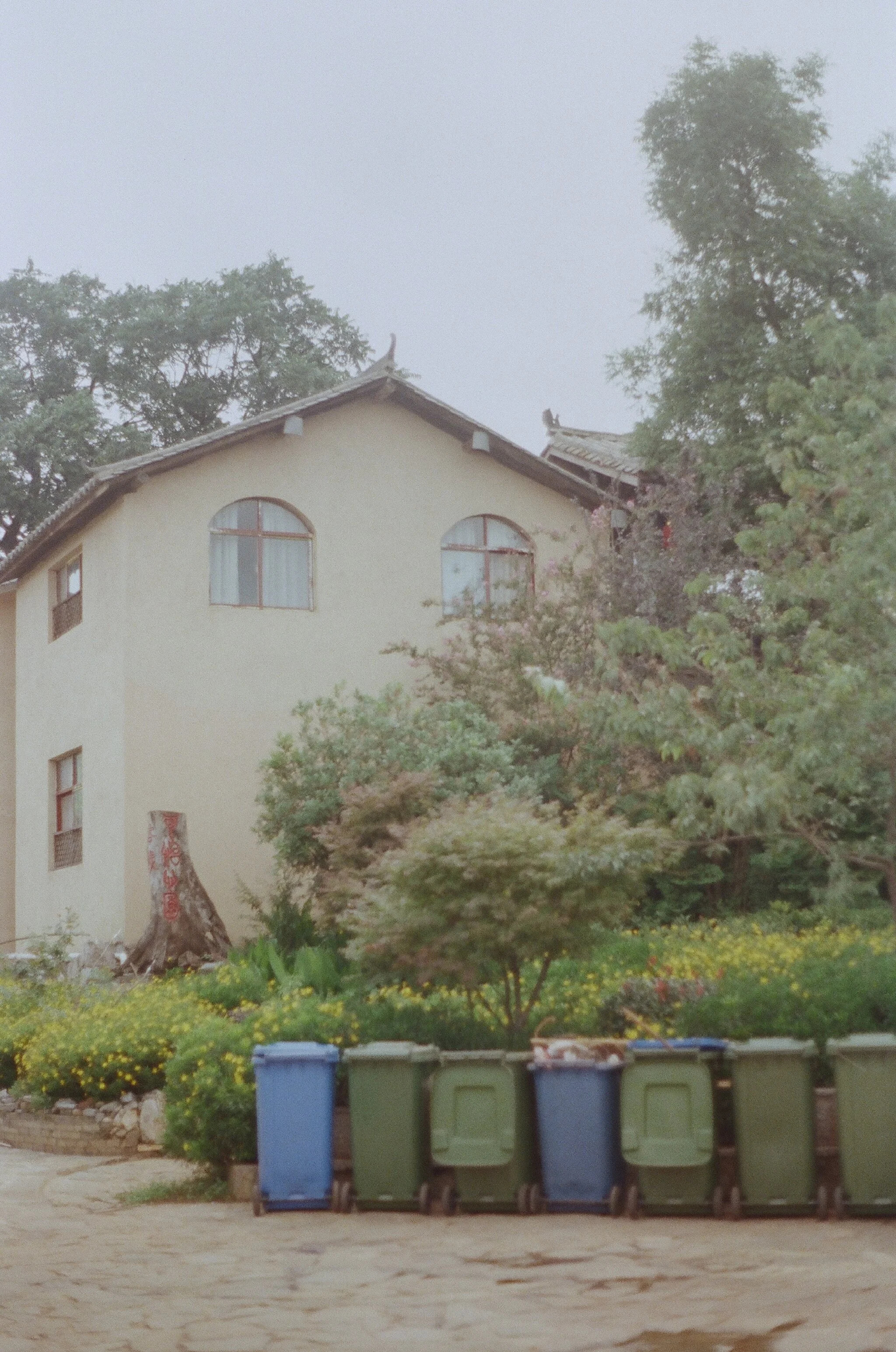 255788_0010.jpg