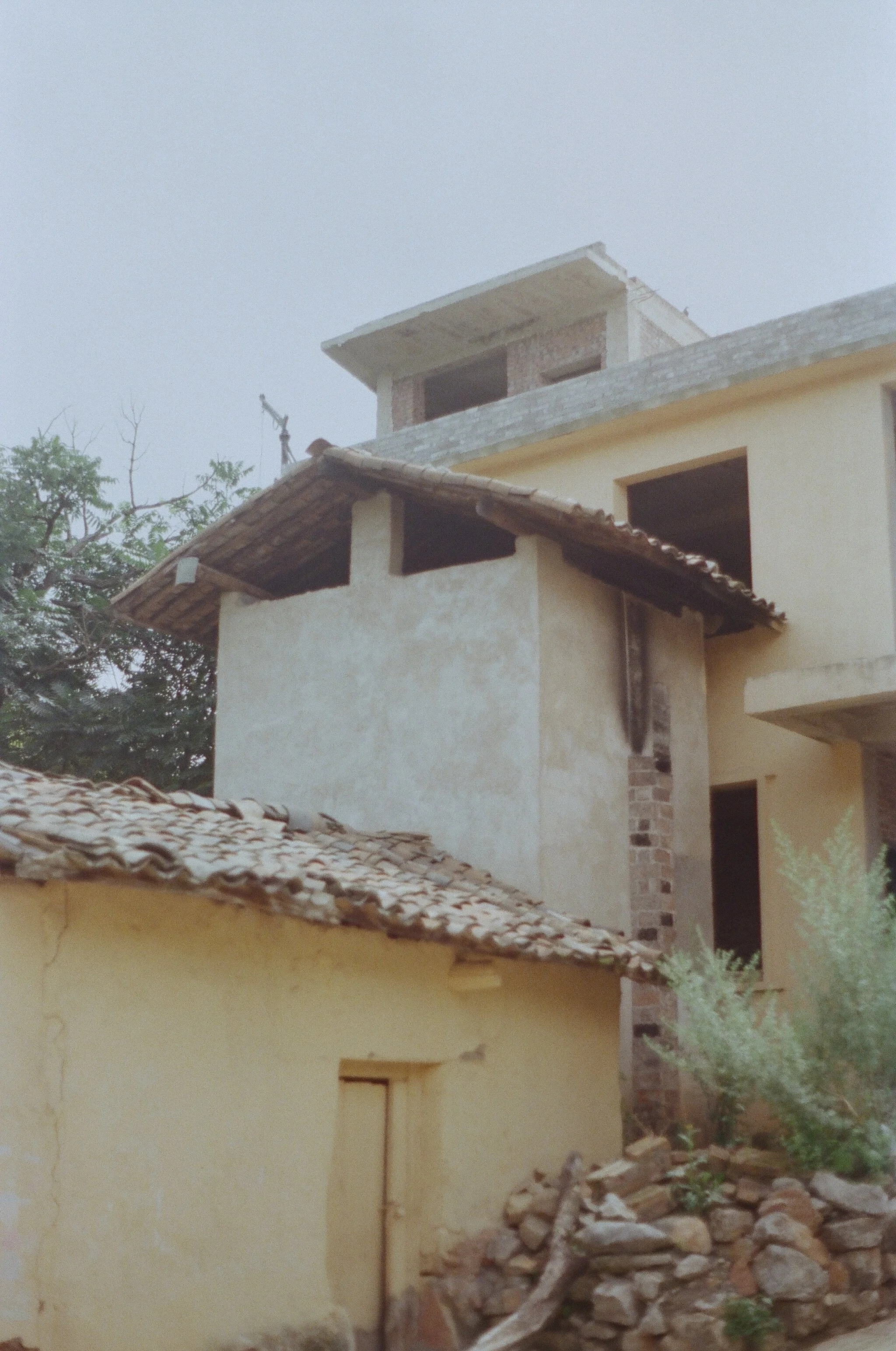 255788_0014.jpg