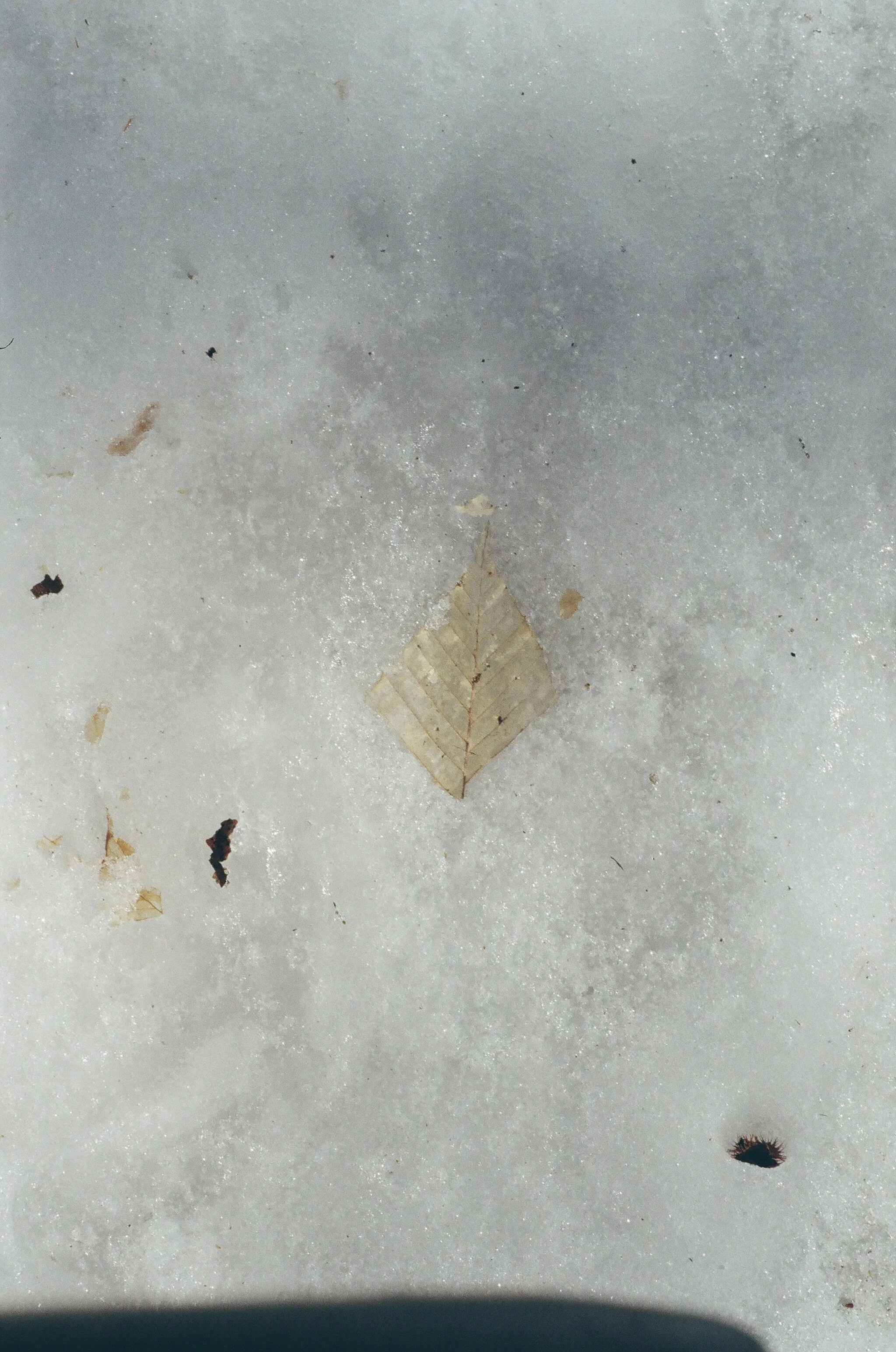 327961_0013.jpg