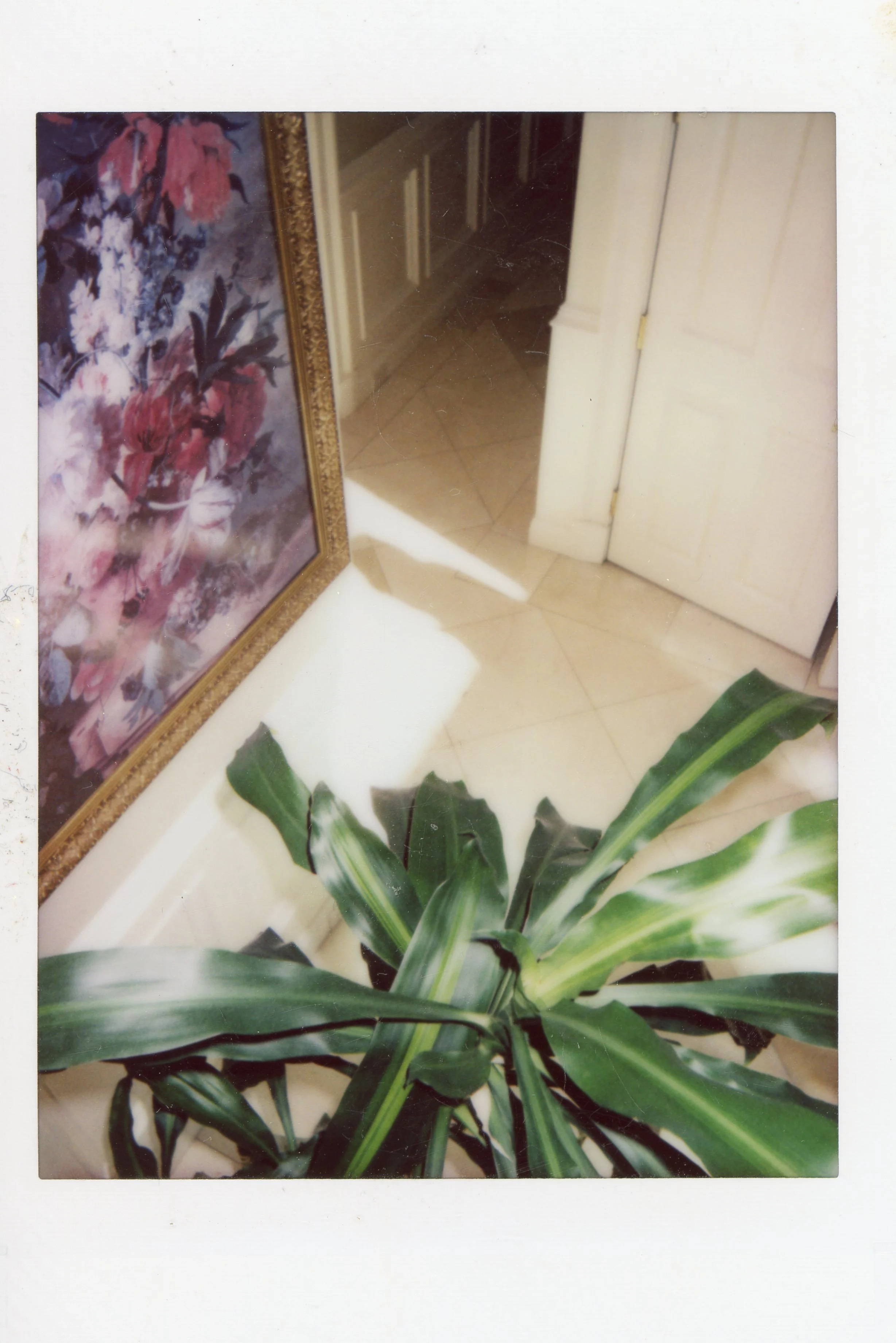 green-plant0001.jpg