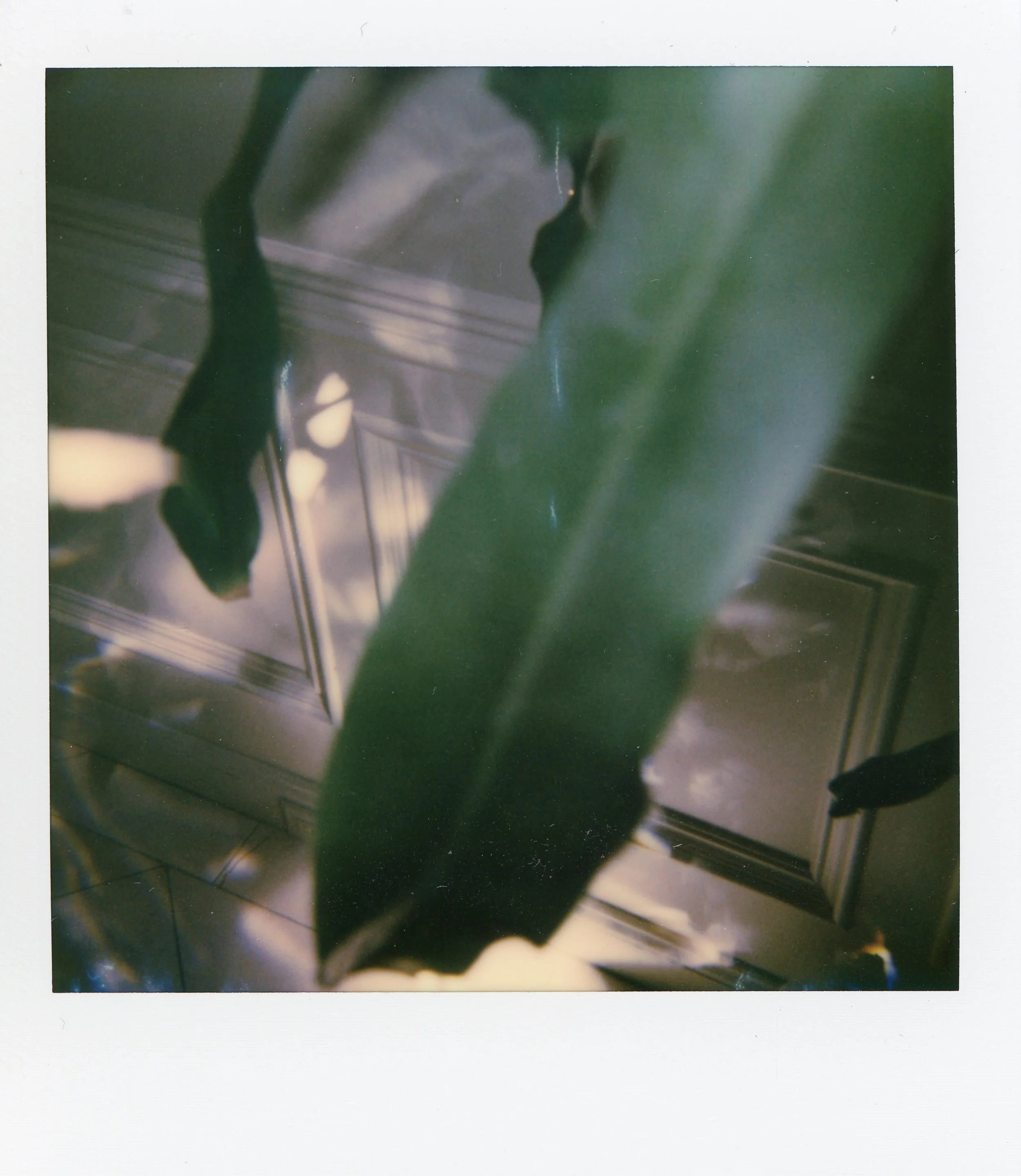 green-plant0003.jpg