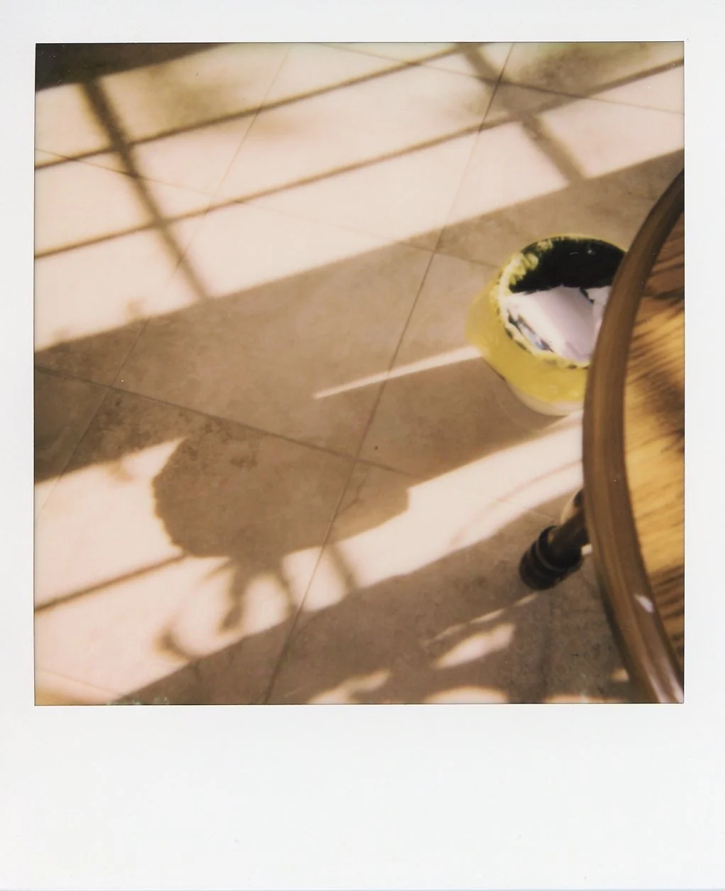 img011.jpg