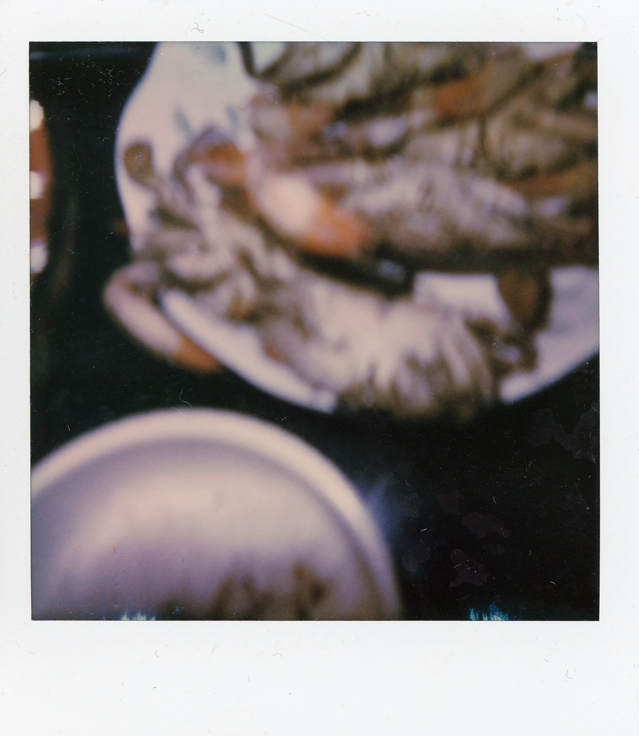 plates0003.jpg