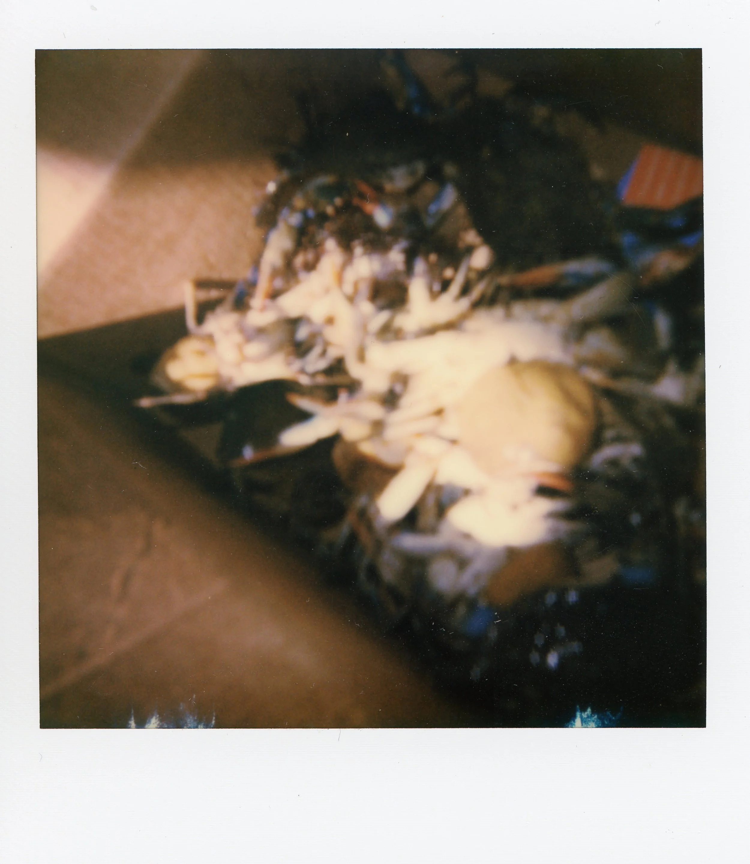 plates0004.jpg