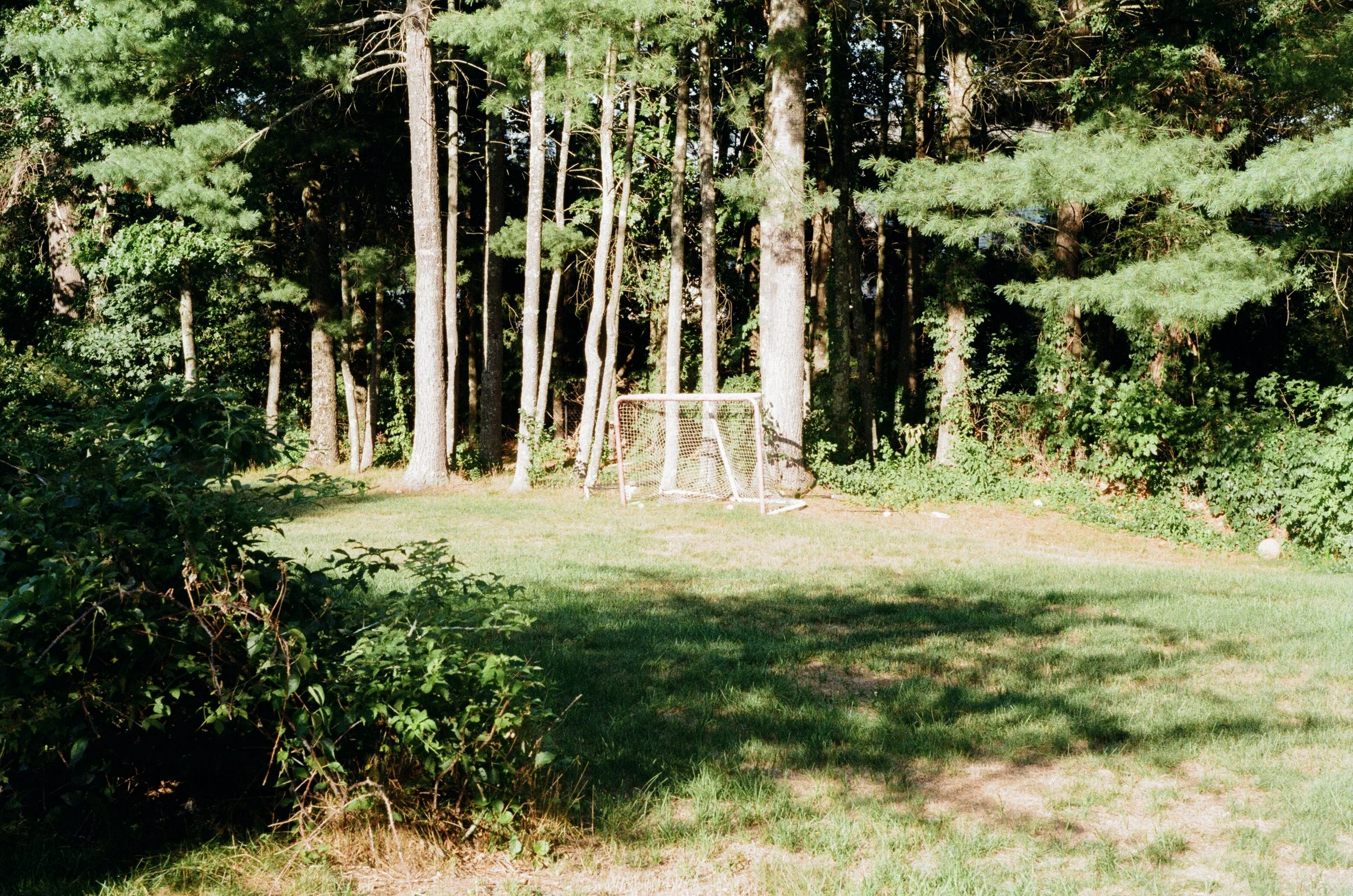 000020160018.jpg