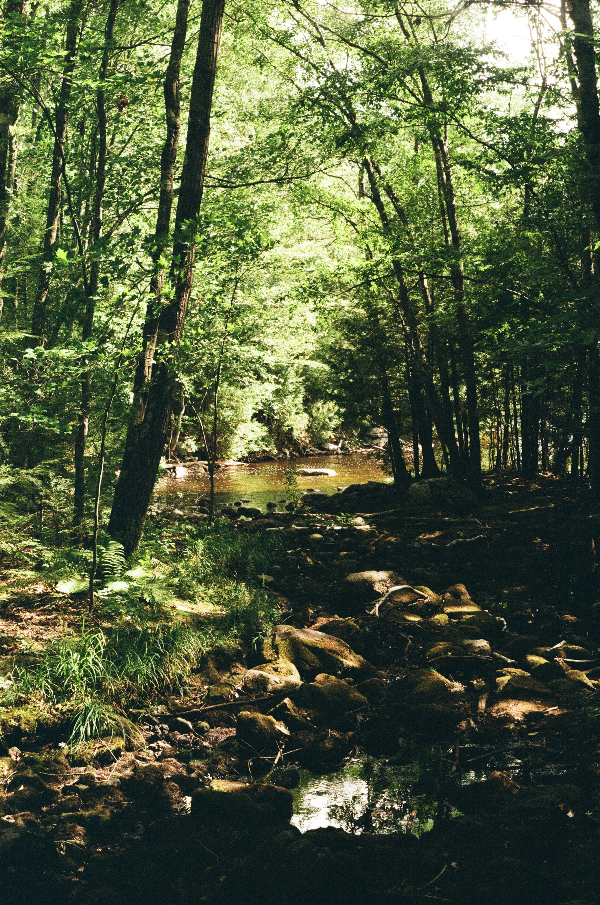 000020120037.jpg