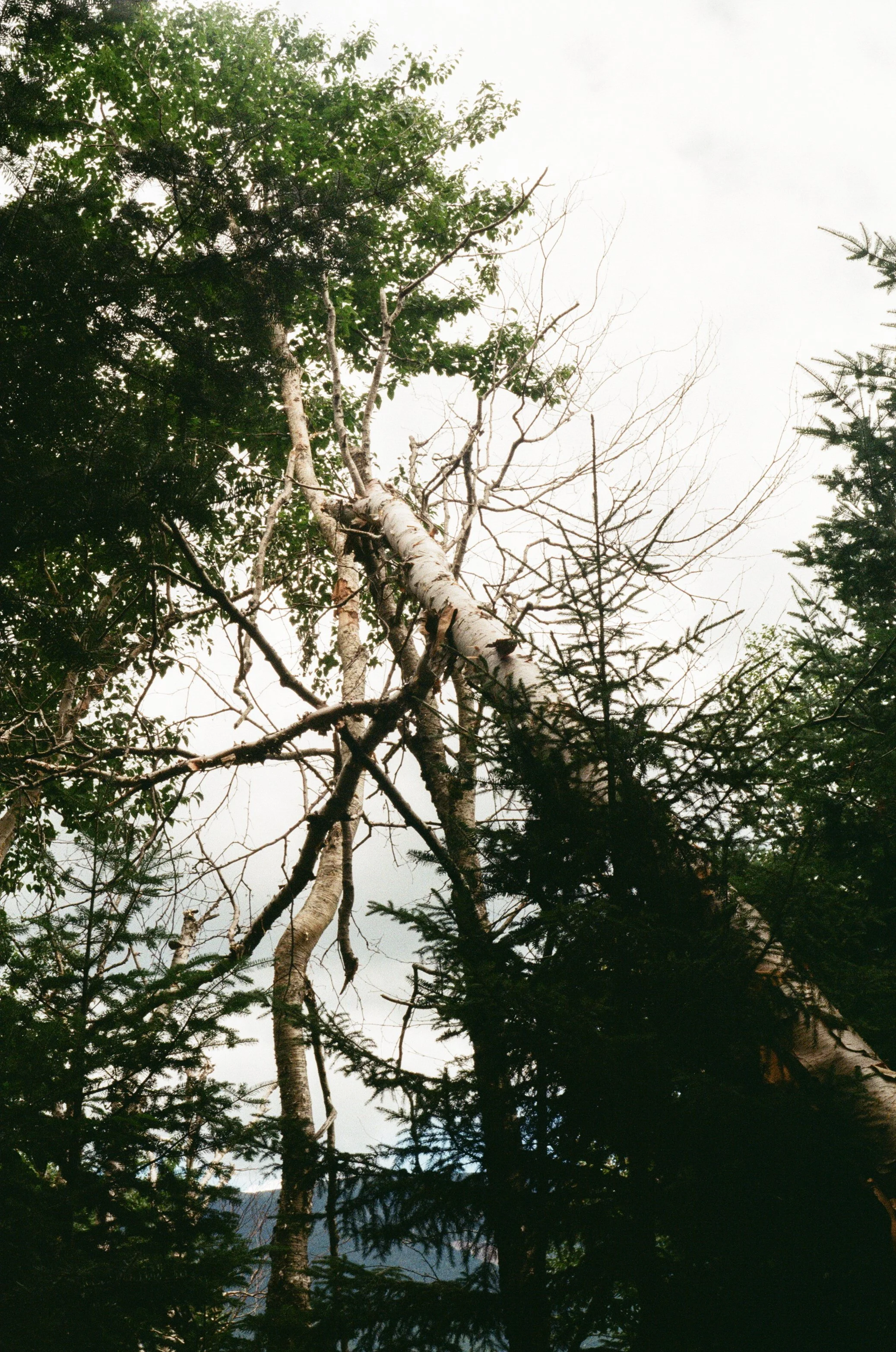 000020140006.jpg