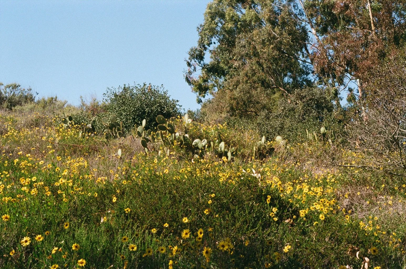 000449720029.jpg