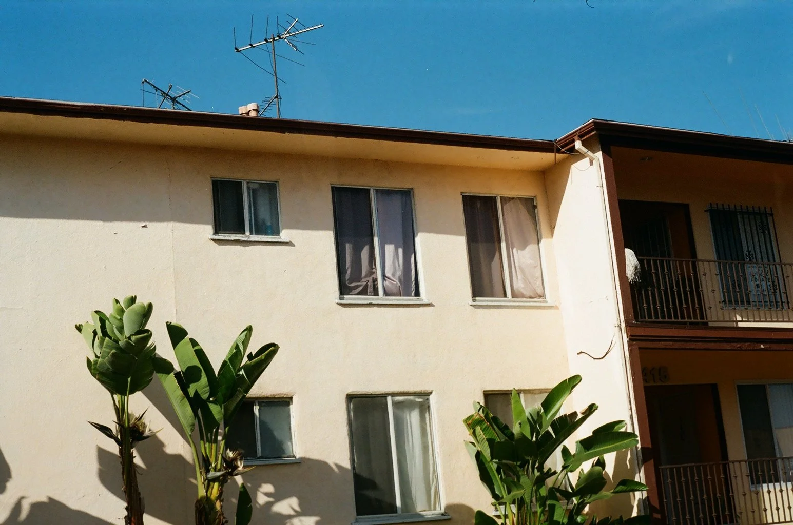 000449740017.jpg