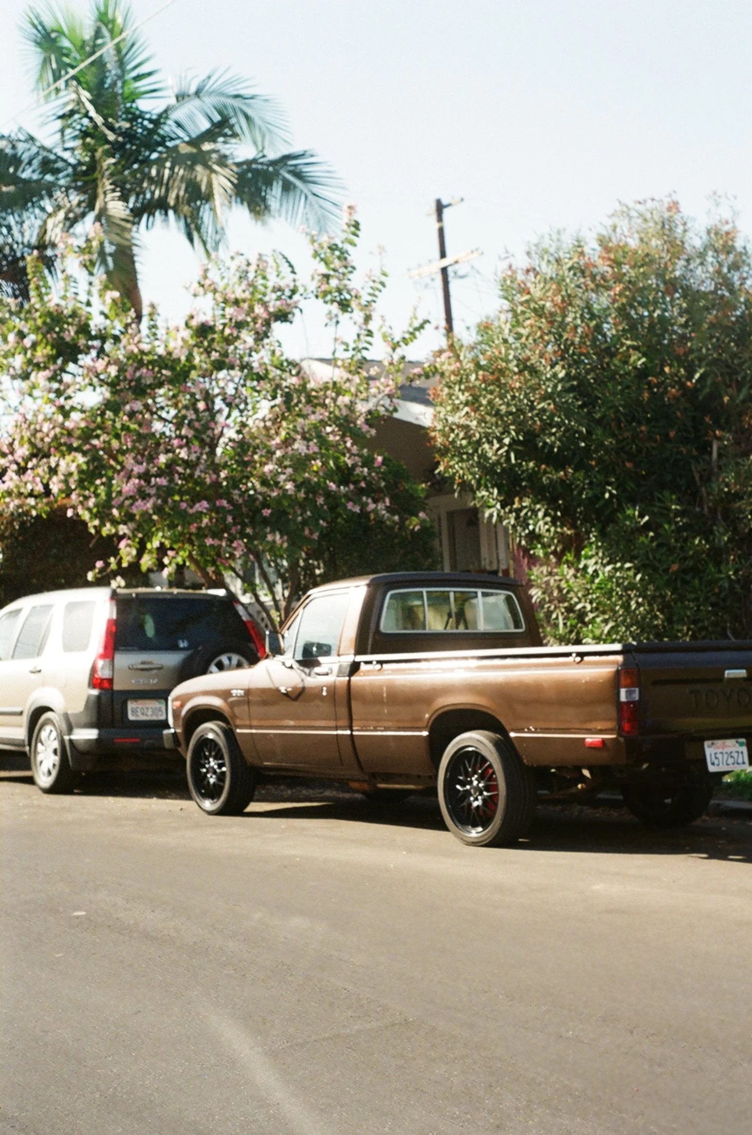 000449740020.jpg