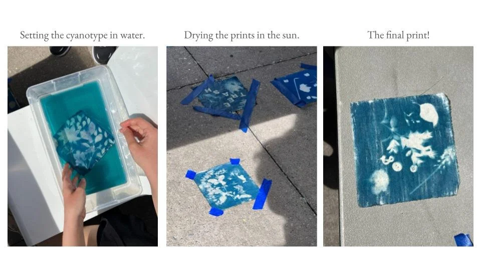 cyantotypes (1).jpg