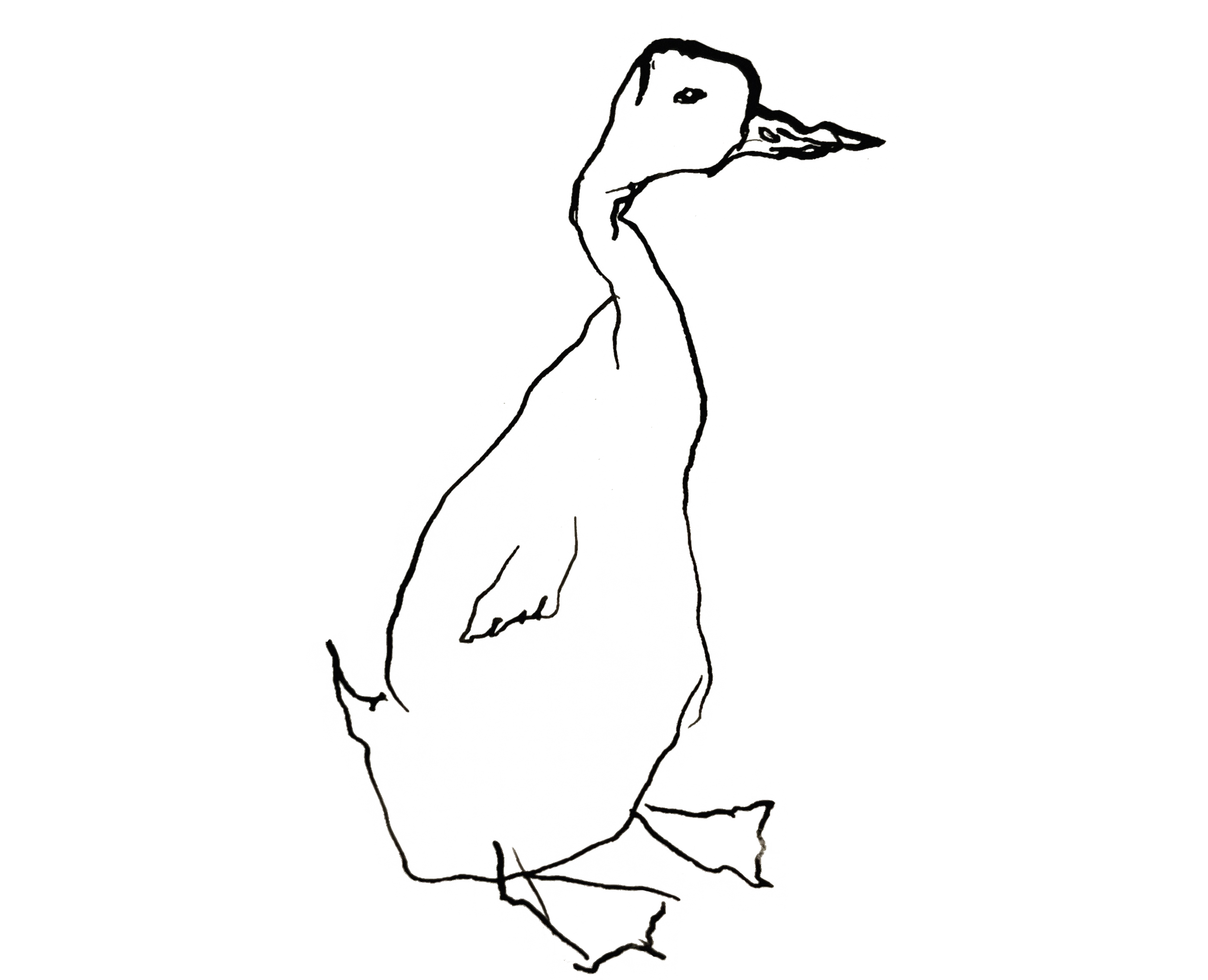 1st April 24 ink duck cutout.png