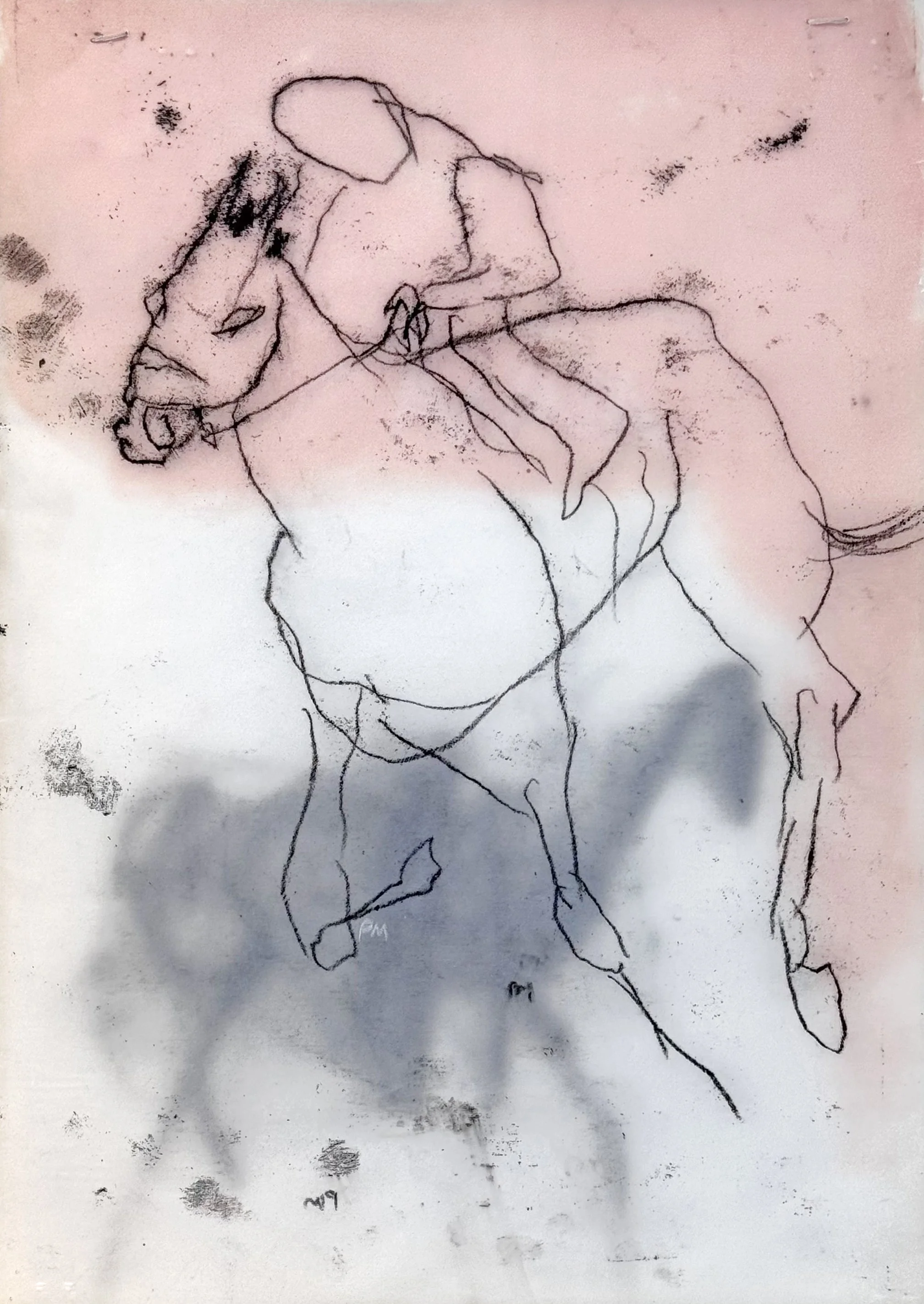 Race horse monoprint equine art thoroughbred