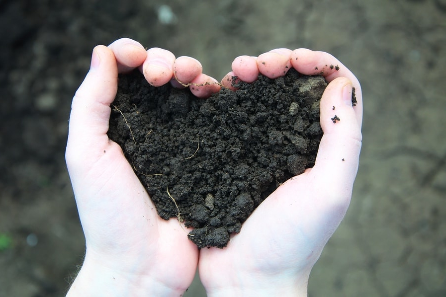 bigstock-Hand-Holding-Black-Soil-In-The-64433551-min.jpg