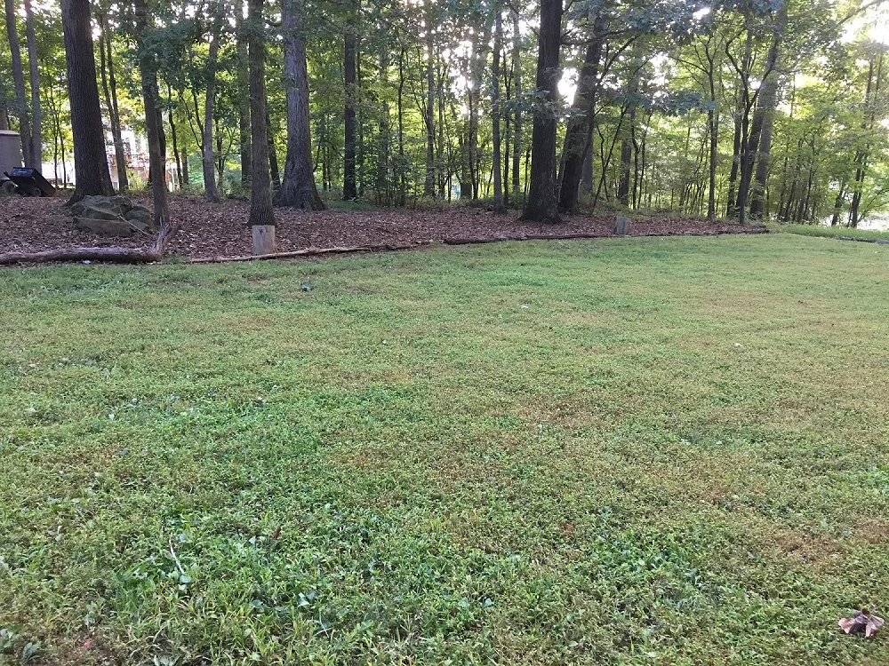 Before-August 2018