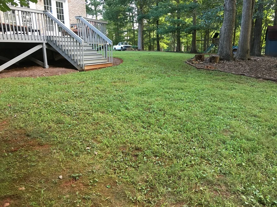 Before: late August 2018