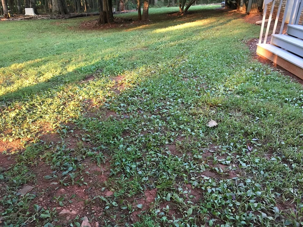 Before-August 2018