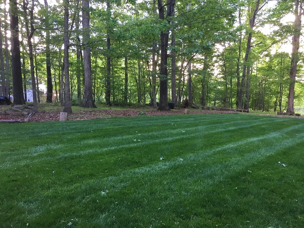 After-April 2019