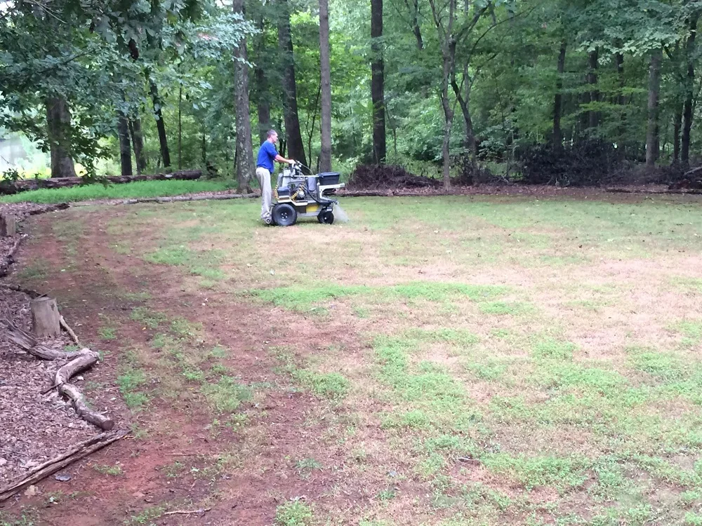 During: Early September 2018, spraying out weeds.