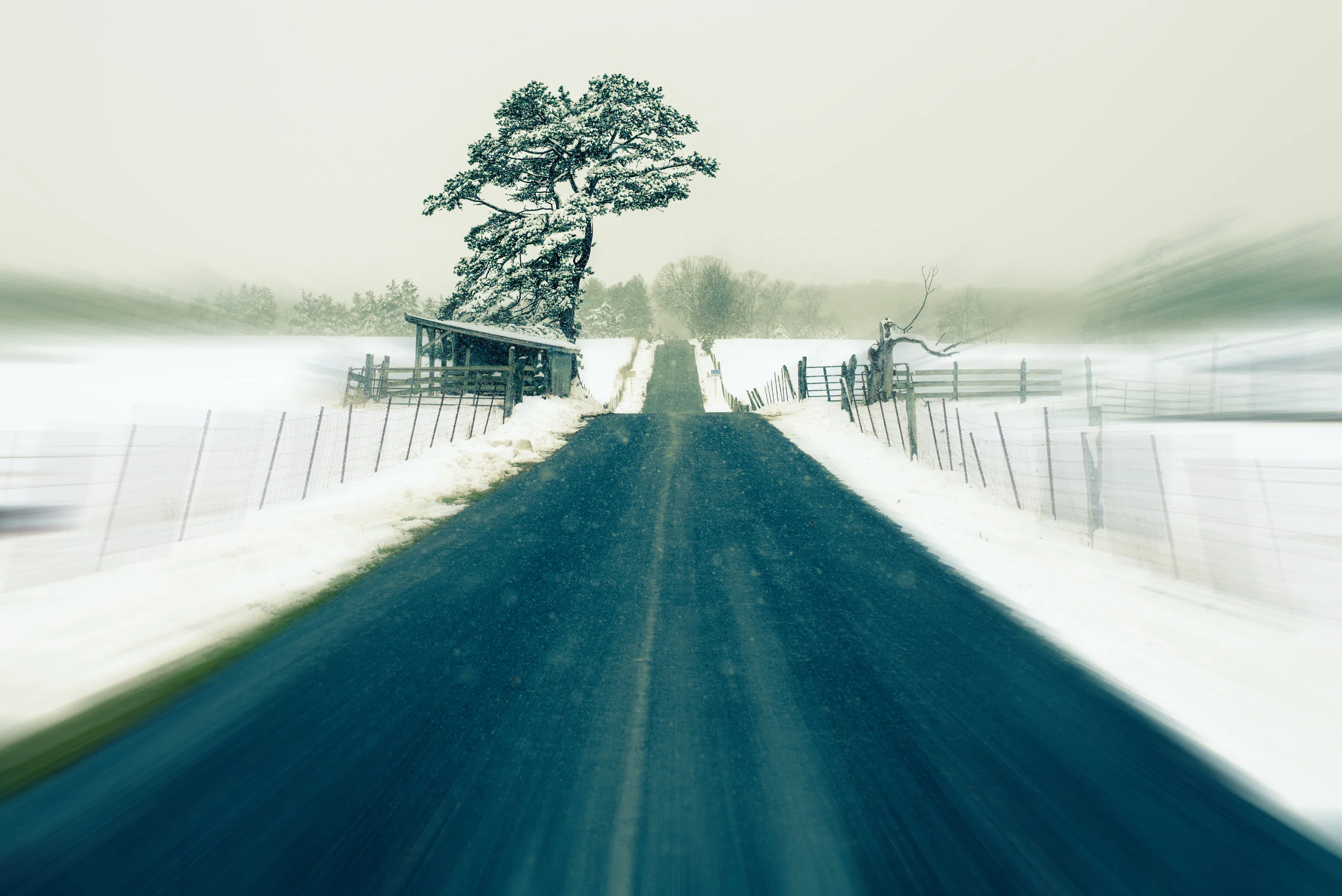 snow-2.jpg