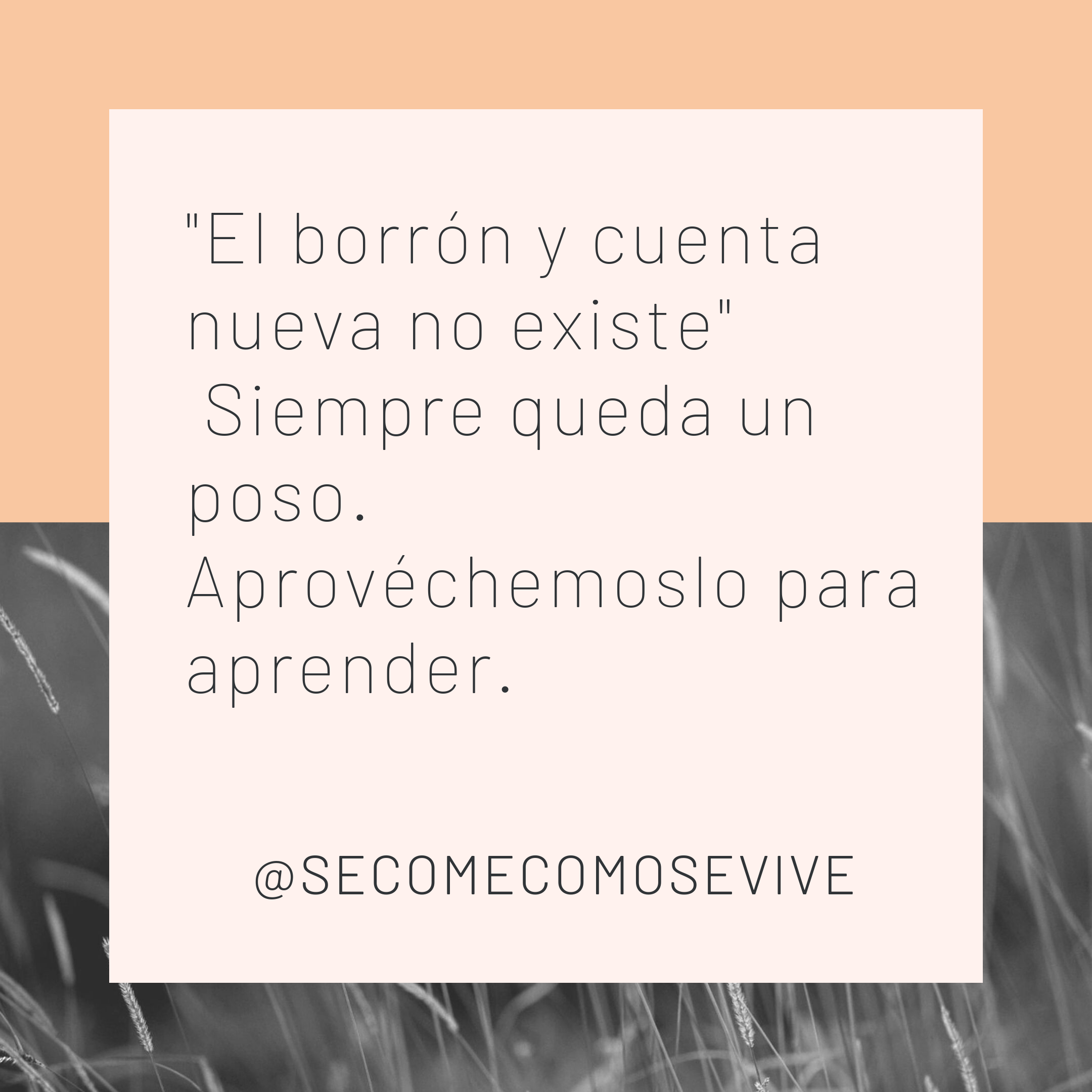 el poso.png