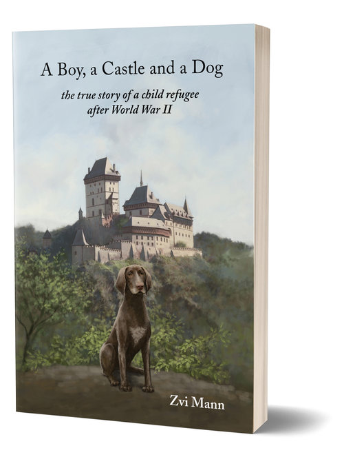 cover illustration by Wesley Lowe