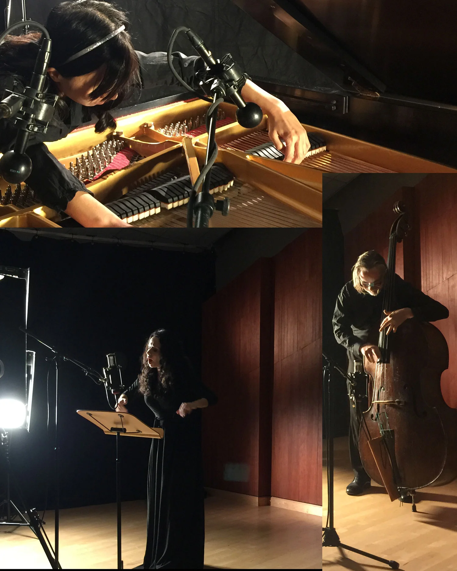 Misha Penton, soprano, concept, text, director / producer, and Virginia Woolf text adaptation. Thomas Helton, double bass. Hsin-Jung Tsai, piano. Music created by Penton / Helton / HJ Tsai. Music created from three distinct solo performances, with the final edit by Misha Penton