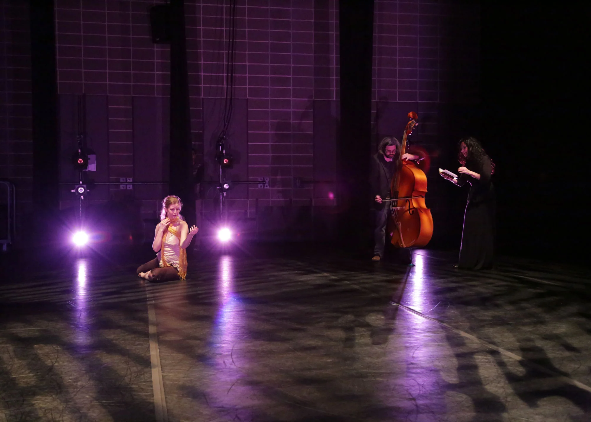Dialogue entre, an experimental trio. Misha Penton, soprano. Brent Fariss, double bass. Music by Misha Penton and Brent Fariss. Meg Brooker, dancer and choreographer