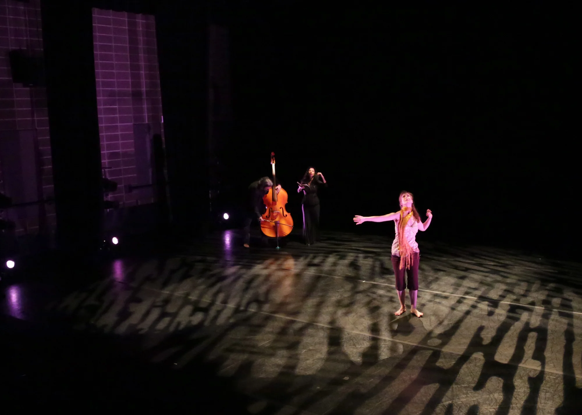 Dialogue entre, an experimental trio. Misha Penton, soprano. Brent Fariss, double bass. Music by Misha Penton and Brent Fariss. Meg Brooker, dancer and choreographer
