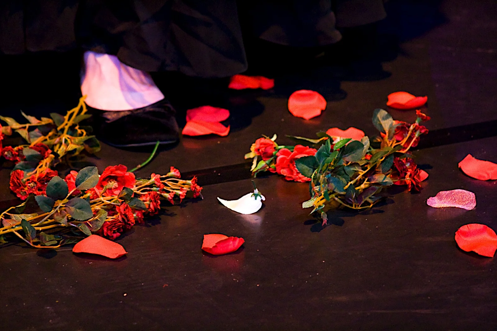 The 10th Muse. Misha Penton, soprano, concept, director. Alison Greene, Michael Walsh, Shelley Auer, Dennis Arrowsmith, Jill Alexander Essbaum, Kade Smith, with Stephen Jones, piano, et al. Photos: E. Melear.