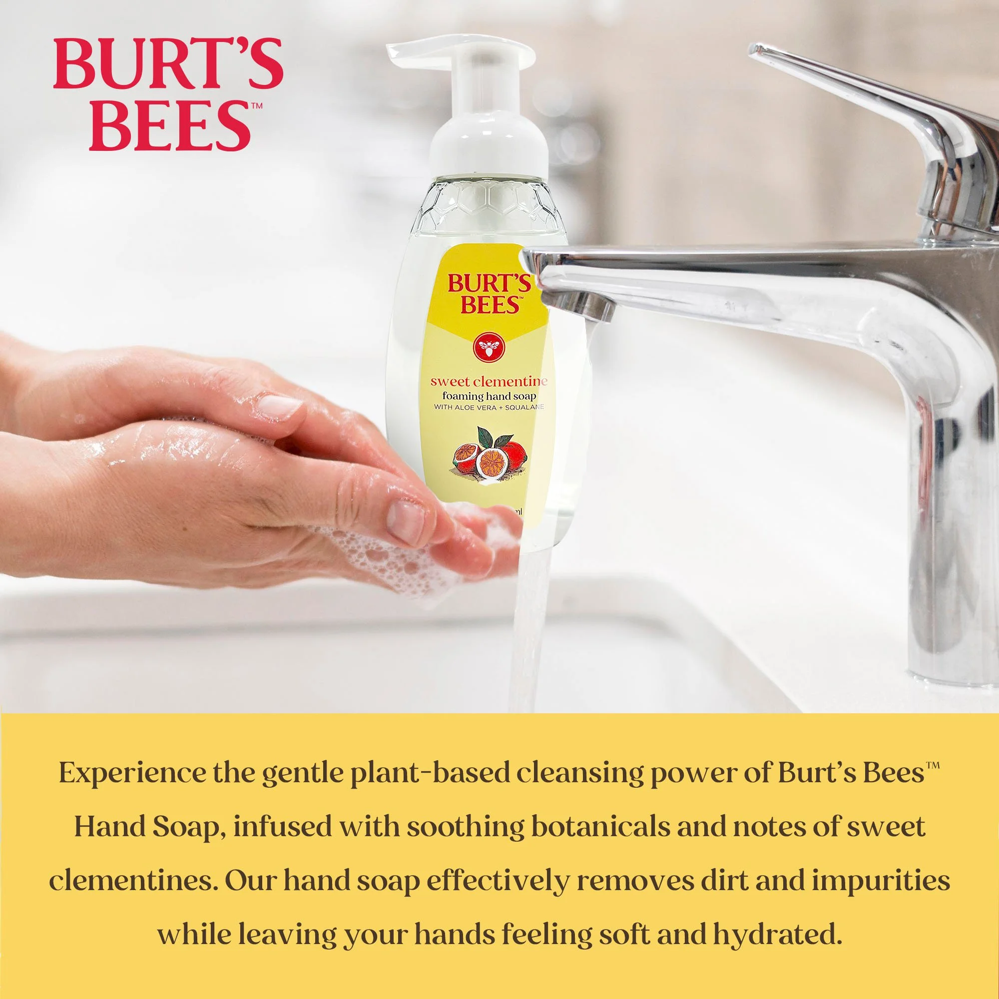 Burt's Bee_Foaming Soap_Sink_Sweet Clementine_2.jpg