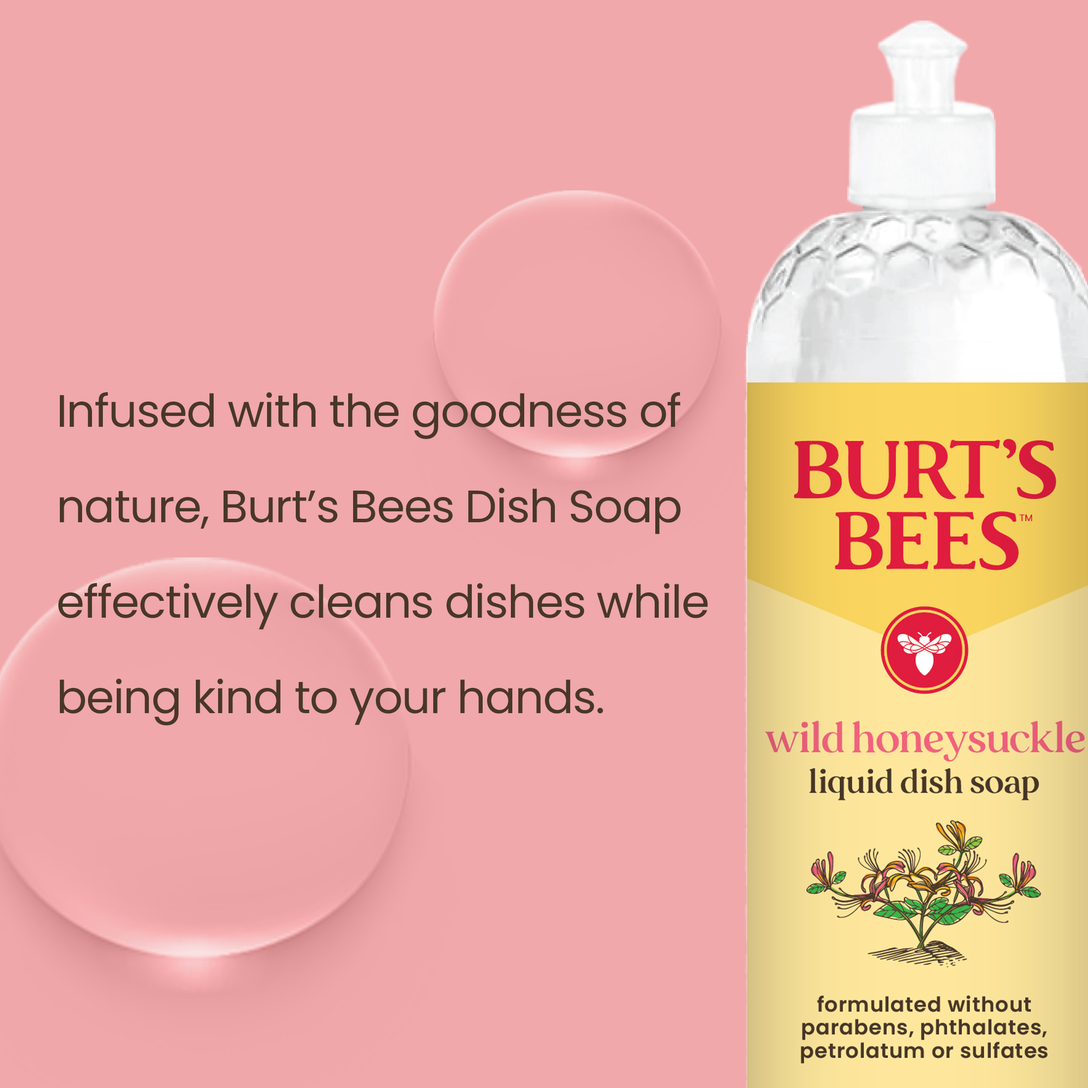 Burt's Bees_Dish Soap_Infographic_Wild Honeysuckle.png