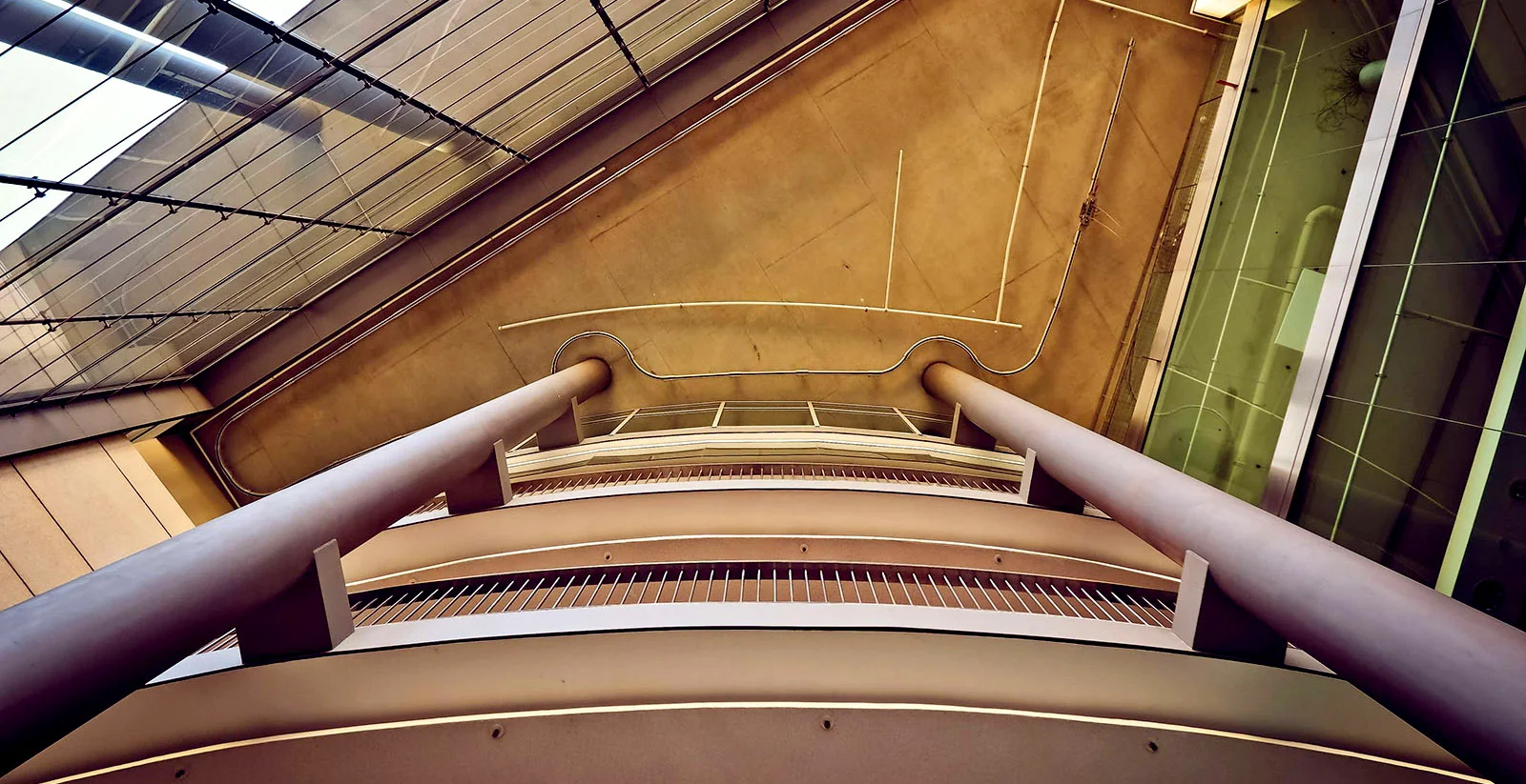 Looking up.jpg
