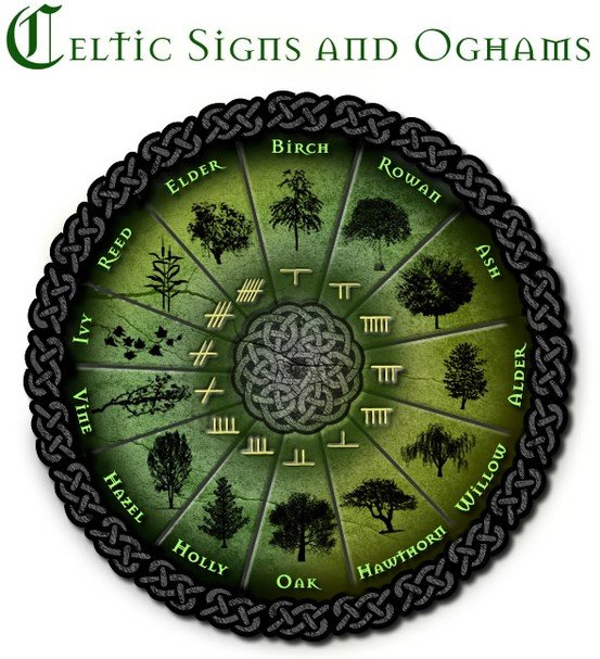 Celtic Tree Symbols