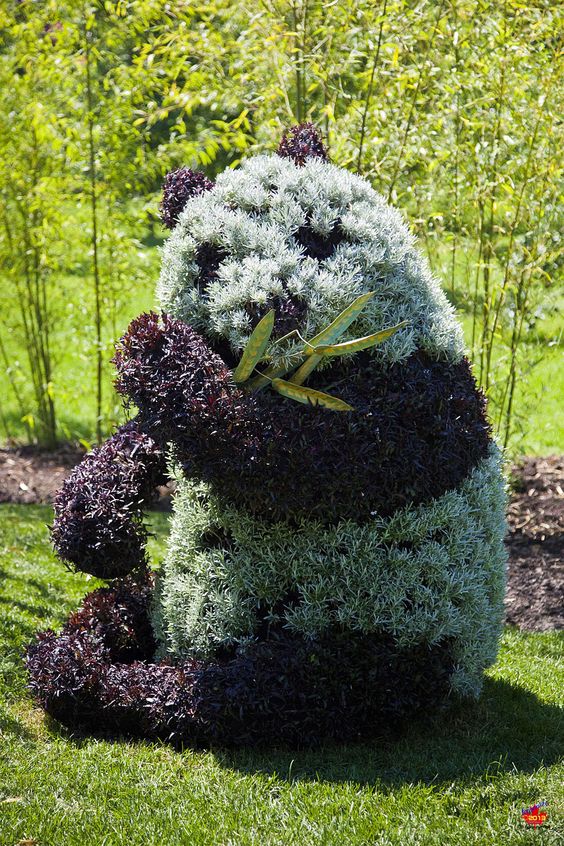 From the Montreal Botanical Garden