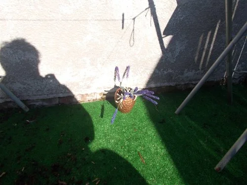real lavender and artificial lavender.jpg