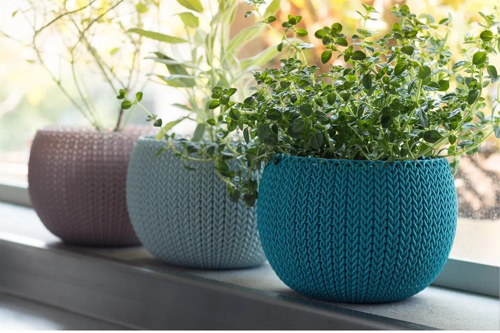 The 5 Best Indoor Planters For Your Home