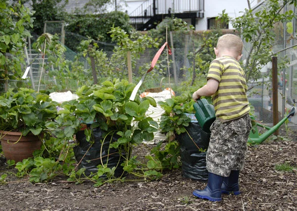 kid watering plants.jpg