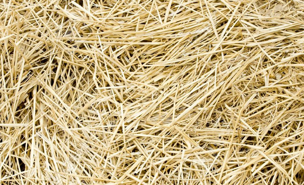 Oat straw