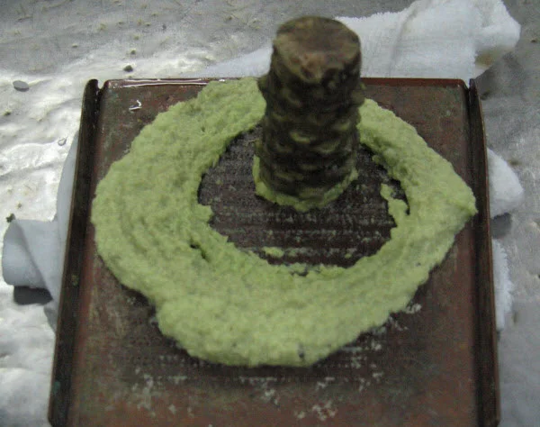 wasabi grated to paste form.jpg