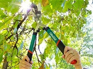 gilmour hedge shears.jpg