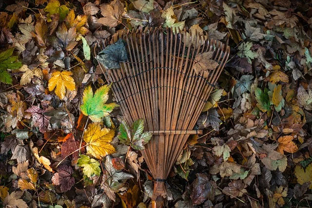 bamboo leaf rake.jpg
