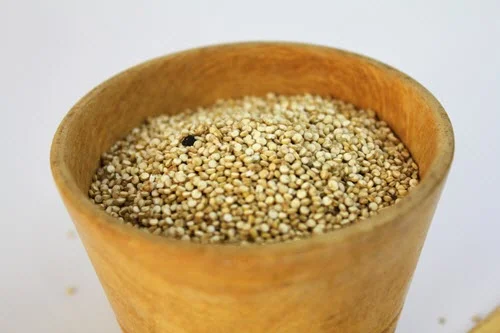 corn gluten meal.jpg