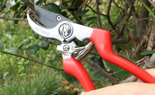 hand+pruner+bypass+style.jpg