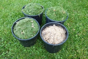 How to Compost Wood Chips Fast